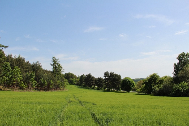 Lavičky - Kosova Berg