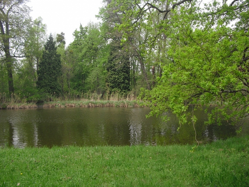 Lednice ponds