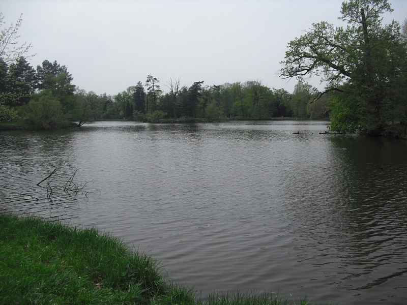 Lednice ponds