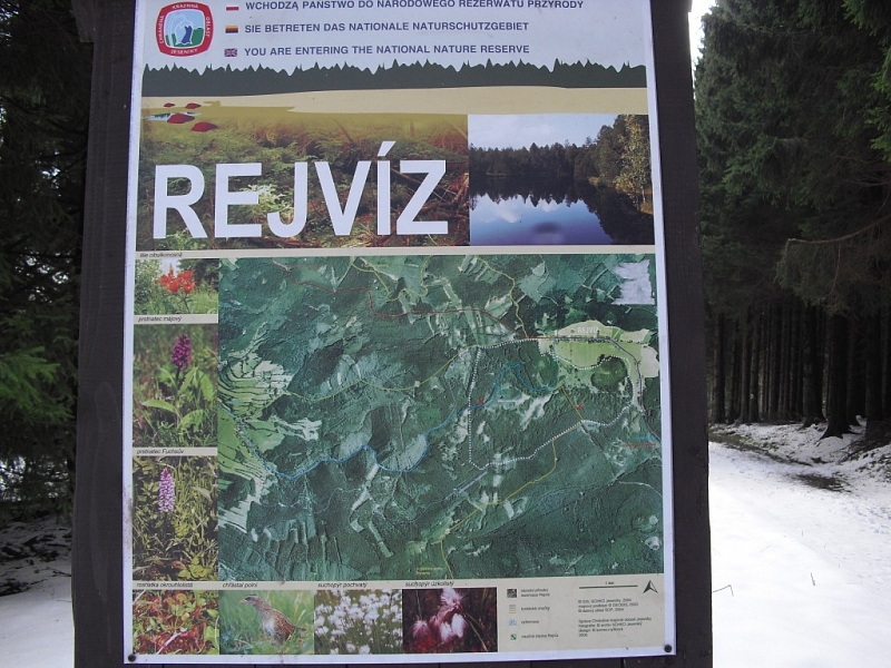 Mossy lakes on Rejvíz