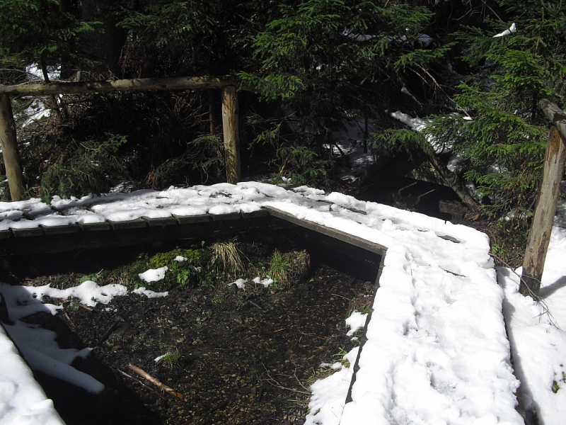 Mossy lakes on Rejvíz