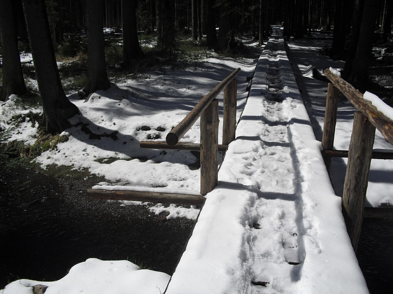 Mossy lakes on Rejvíz