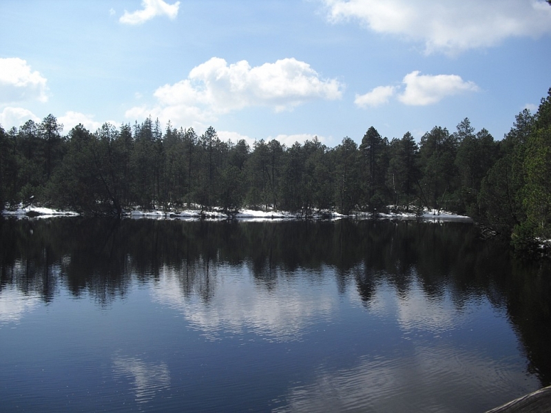 Mossy lakes on Rejvíz