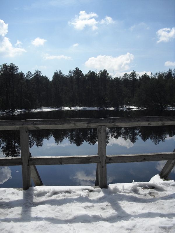 Mossy lakes on Rejvíz