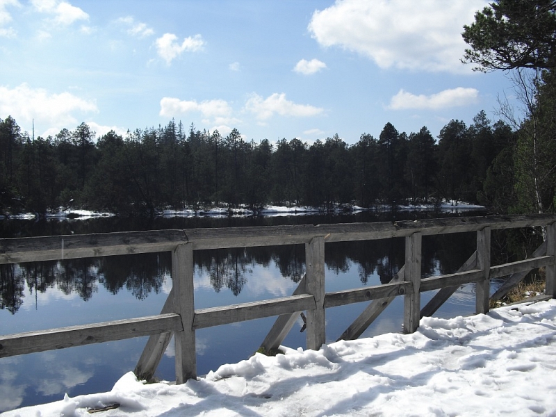 Mossy lakes on Rejvíz
