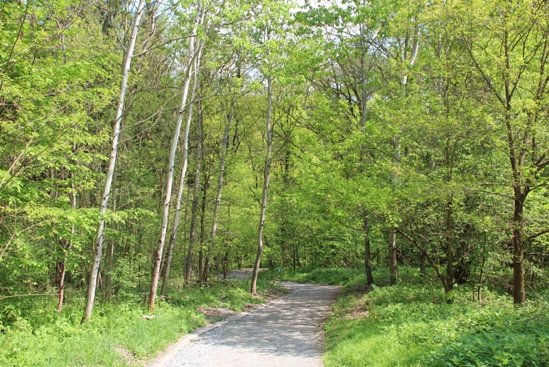 Modřany Gully