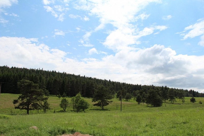 Mokřady pod Vlčkem