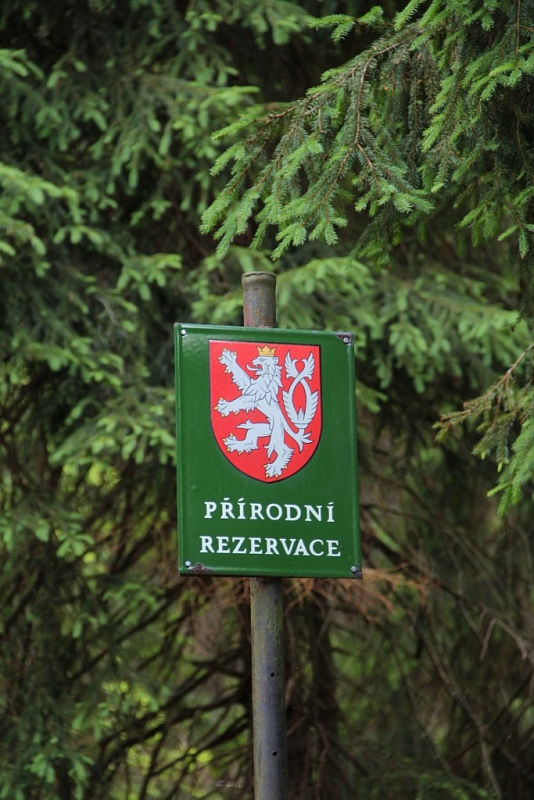 Mokřady pod Vlčkem