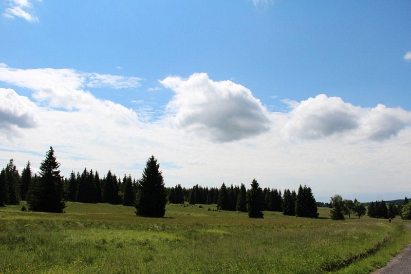 Rolavská vrchoviště
