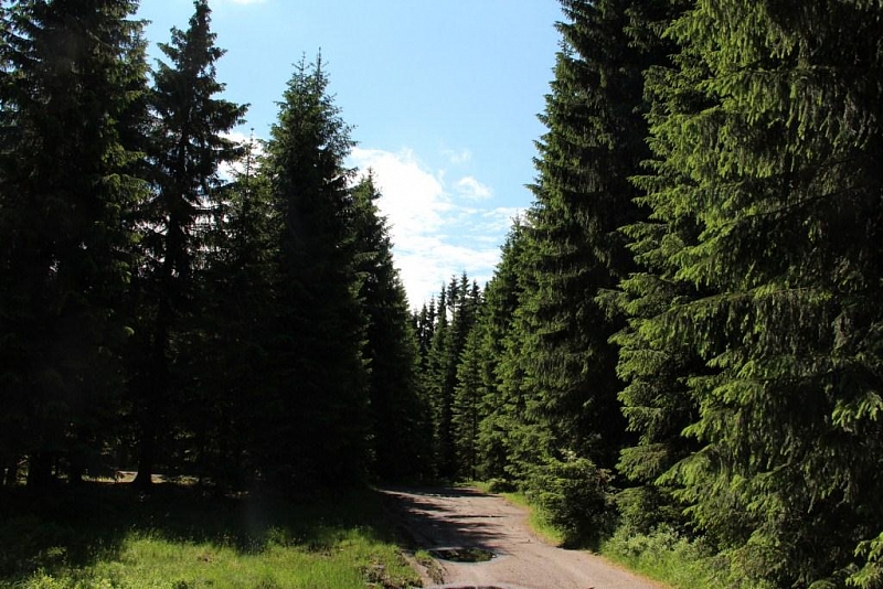 Rolavská vrchoviště