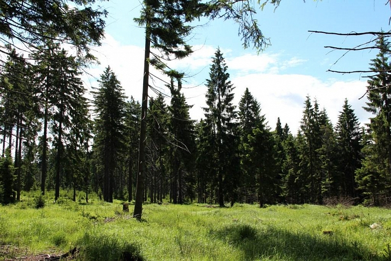 Rolavská vrchoviště