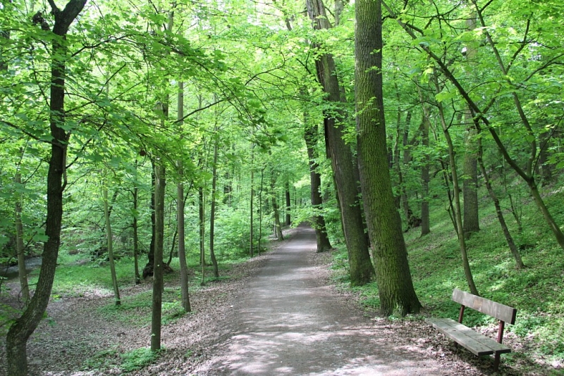 Kunratické brook valley