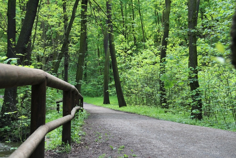 Kunratické brook valley