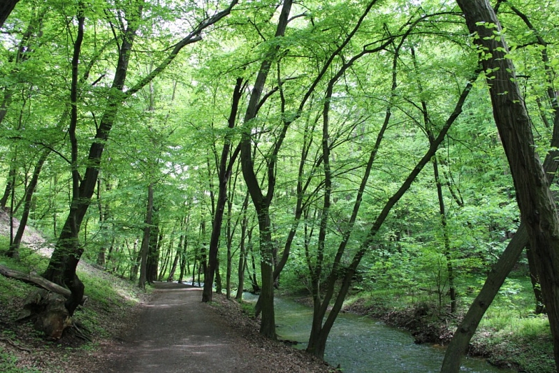 Kunratické brook valley