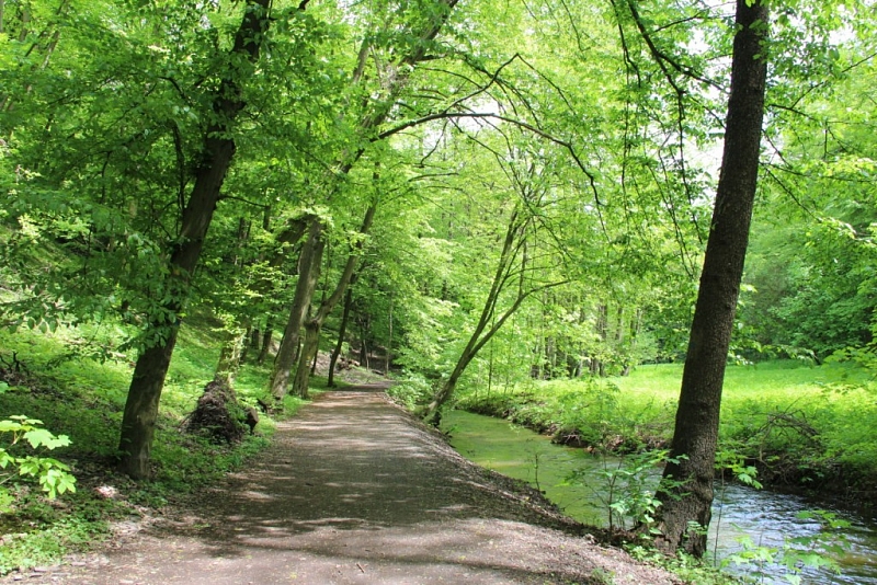 Kunratické brook valley