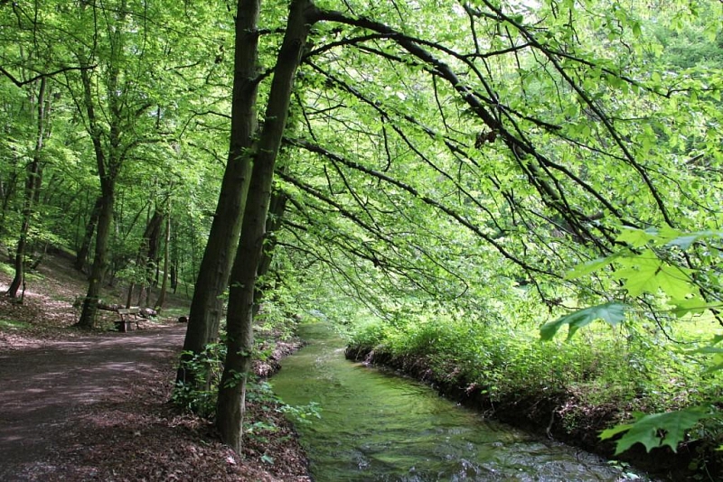 Kunratické brook valley