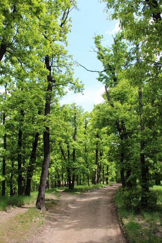 Kunratické brook valley