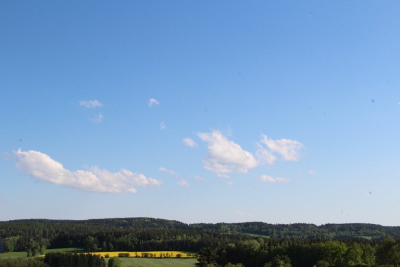 Rozhledna Kuníček u Petrovic