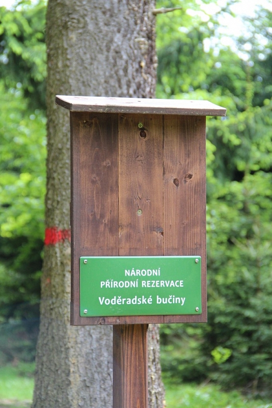 Voděradské beech forests
