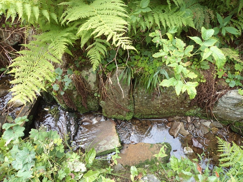 Černohorská rašeliniště