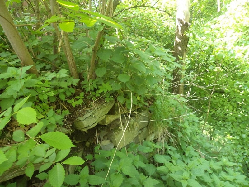 Rýzmburk (zřícenina)
