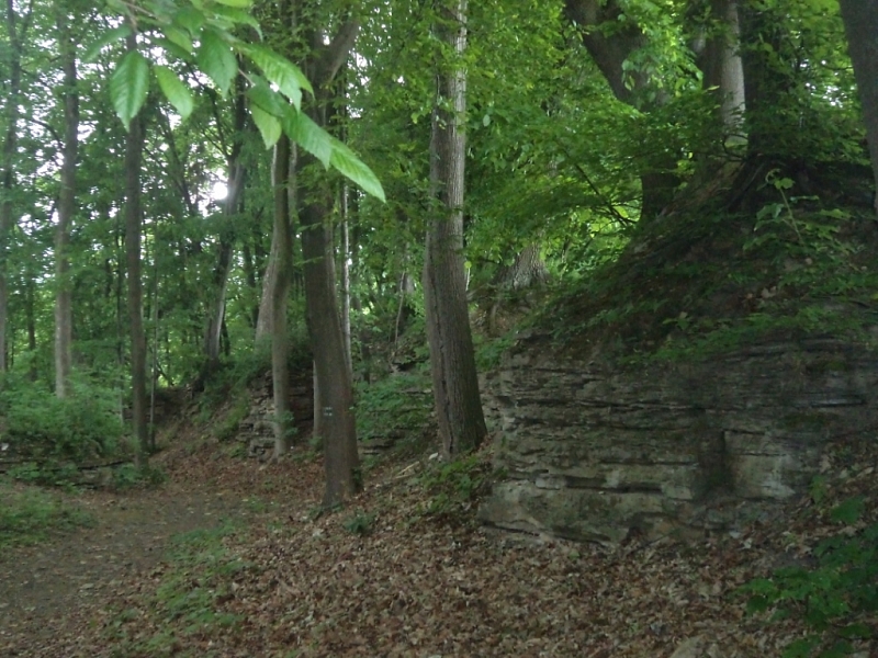 Výrov (ruin)