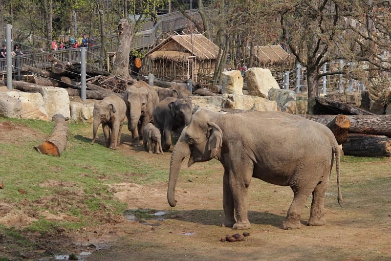 Prague ZOO