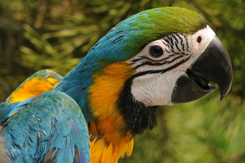 ZOO Olomouc