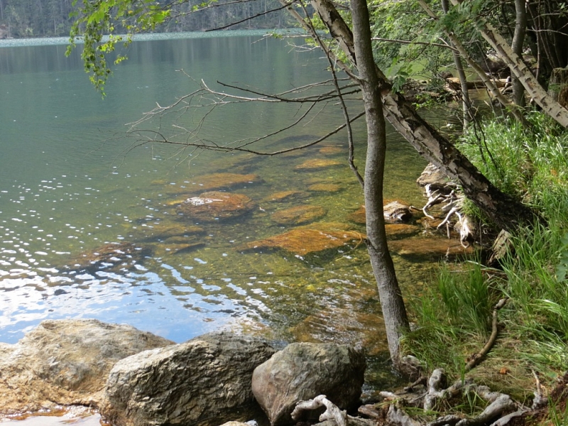 Black Lake