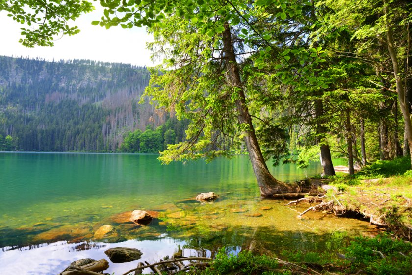 Black Lake