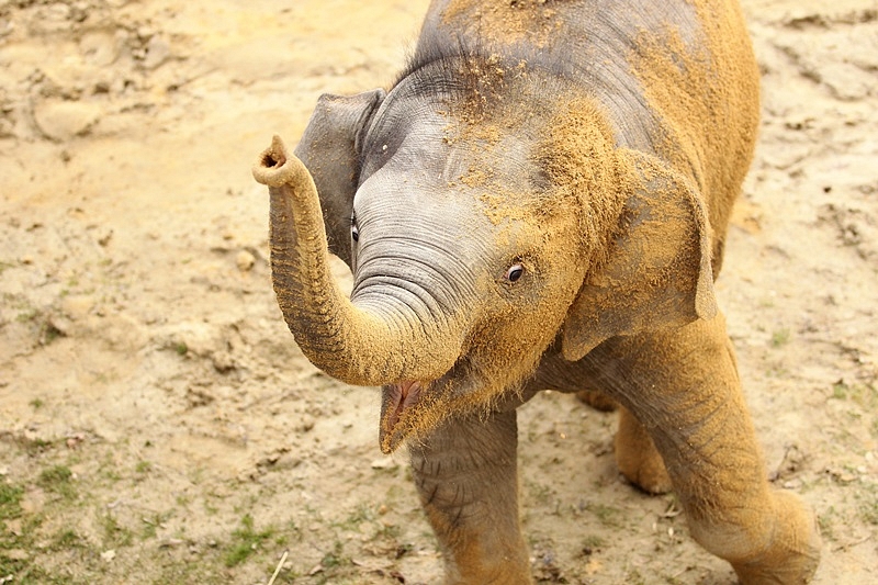ZOO Ostrava