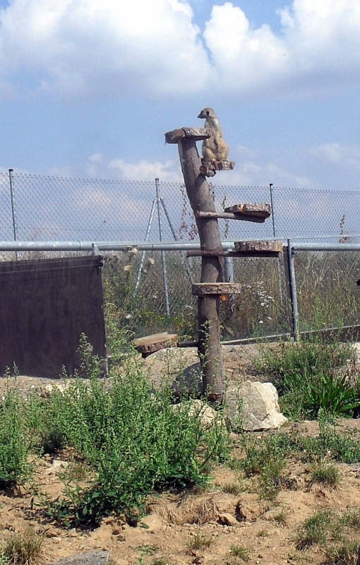 S dětmi na výlet do ZOO Tábor – Větrovy