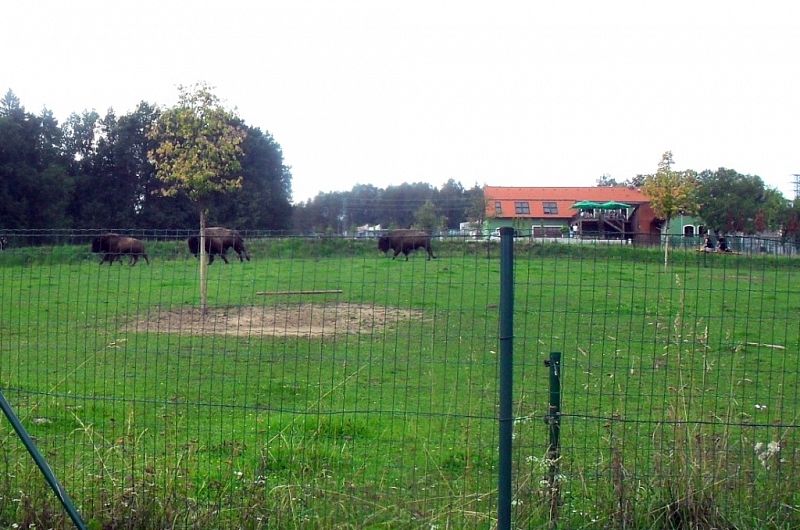 S dětmi na výlet do ZOO Tábor – Větrovy