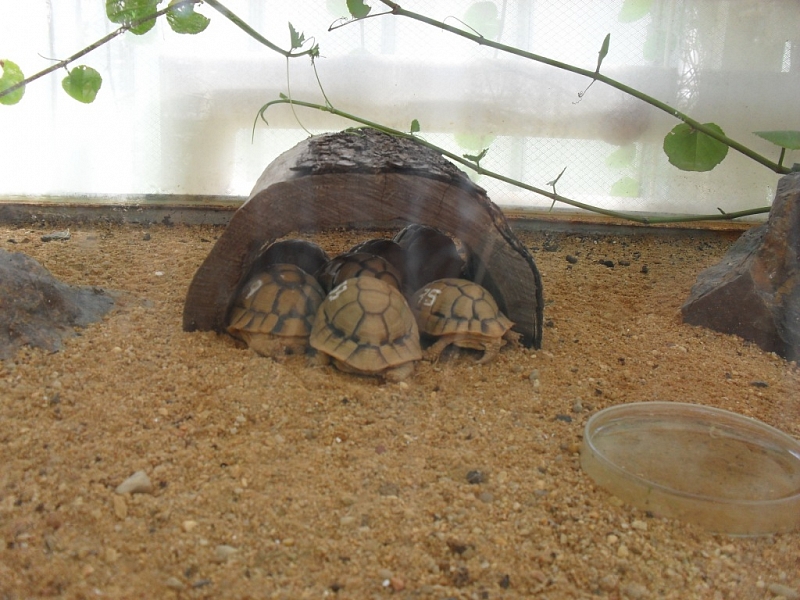 ZOO Plzeň