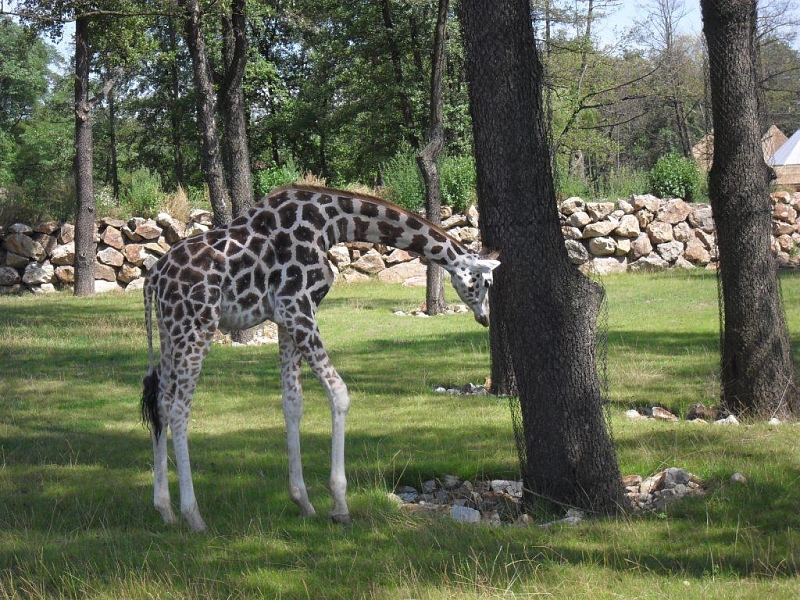 Plzeň Zoo
