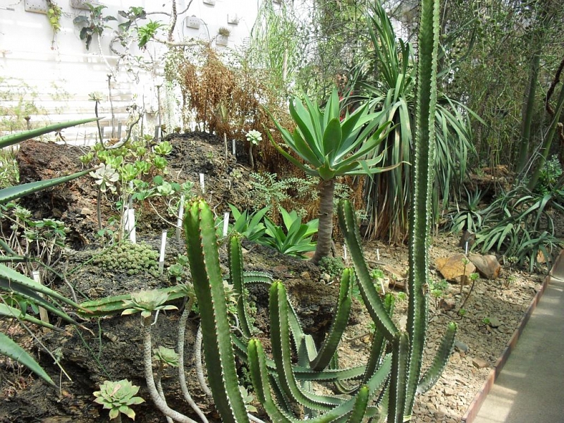 Mit Kindern, die den Pilsener Zoo erkunden und Spaß haben