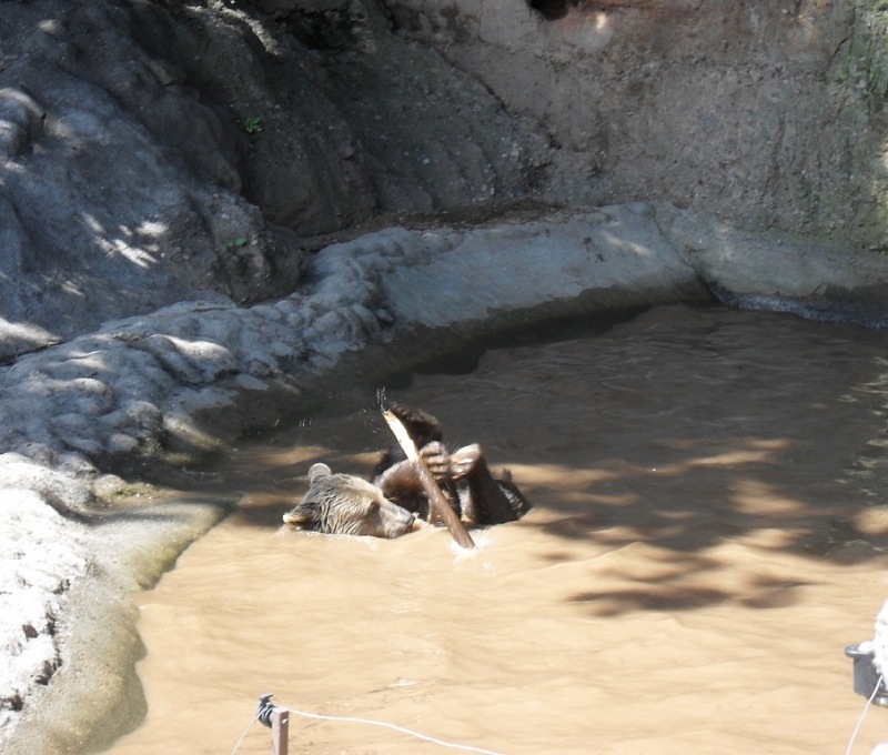With children exploring and having fun in the Pilsen Zoo