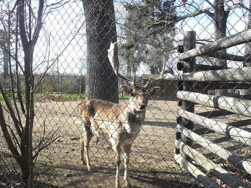 ZOO Ohrada Hluboká nad Vltavou