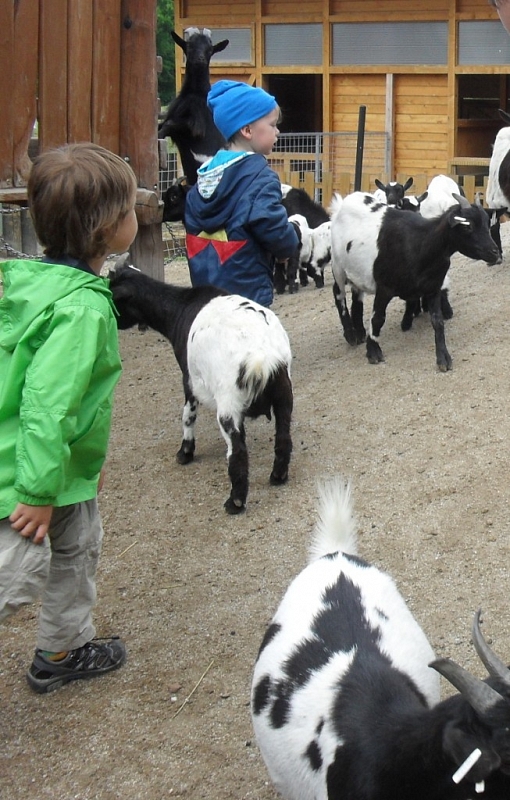 With children to the ZOO Ohrada Hluboká nad Vltavou