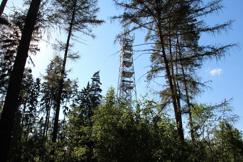 Tobias Hill Aussichtsturm