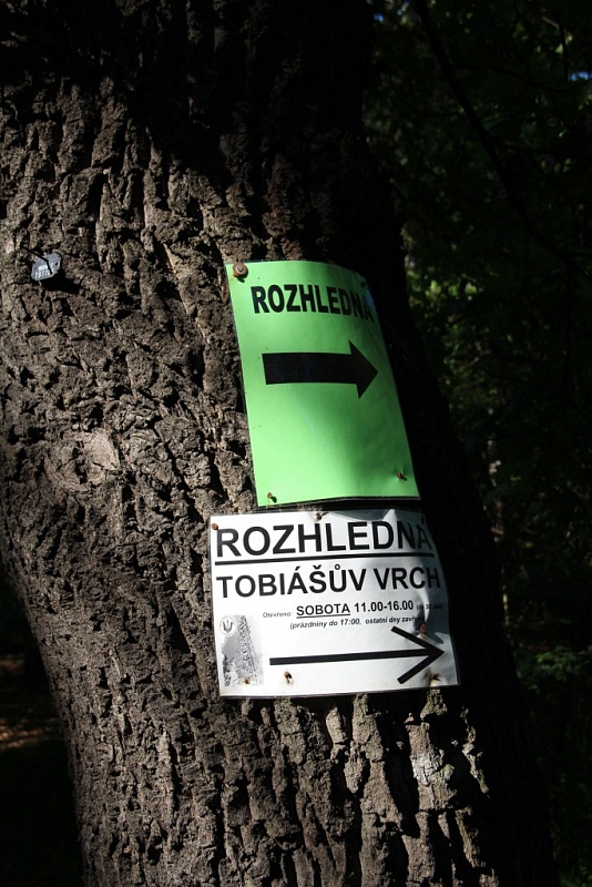 Tobias Hill Aussichtsturm