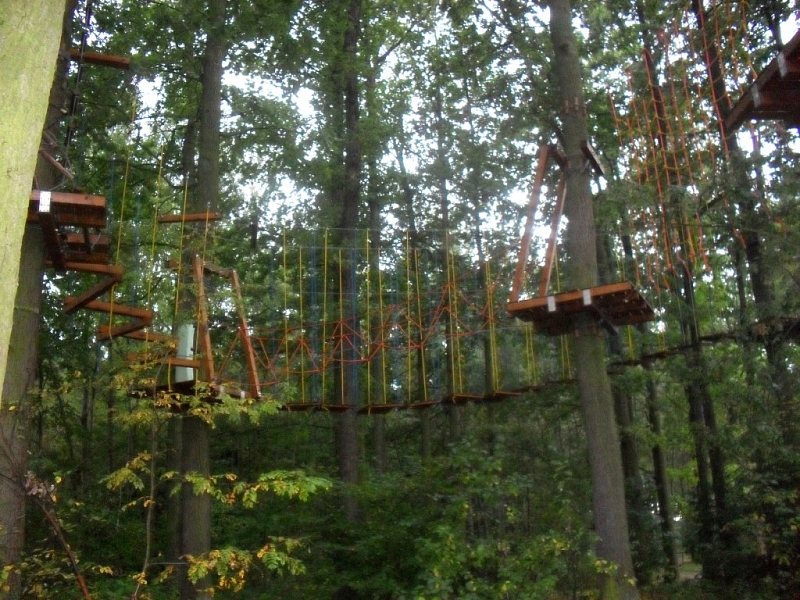 May Rope Park - adrenaline for families with children