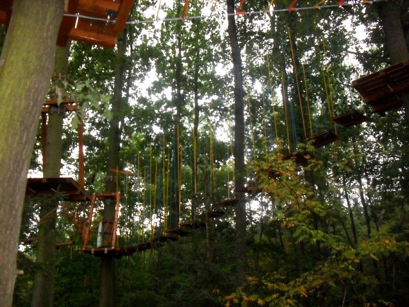 May Rope Park - Adrenalin für Familien mit Kindern