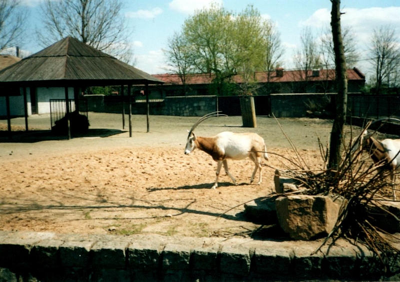 Mit Kindern zum Dvůr Králové nad Labem ZOO