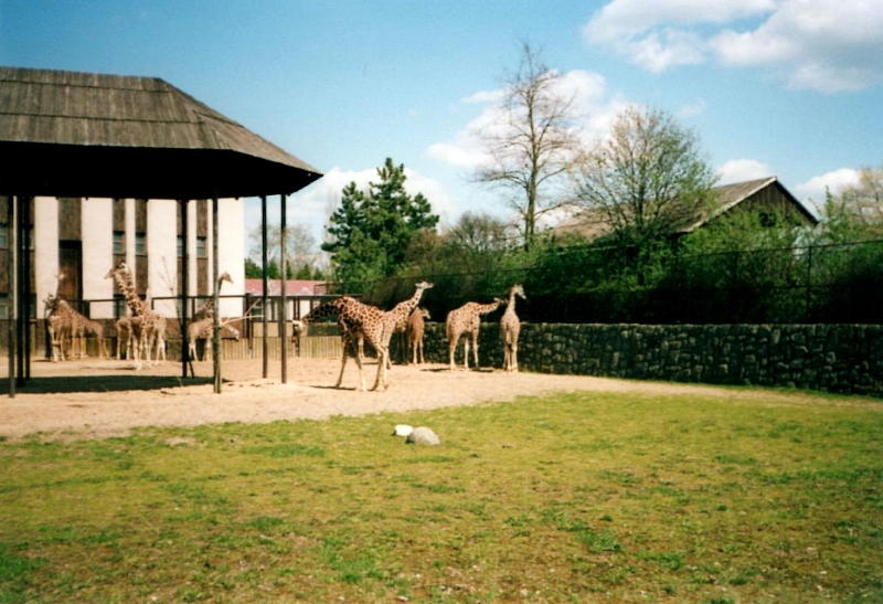 Mit Kindern zum Dvůr Králové nad Labem ZOO