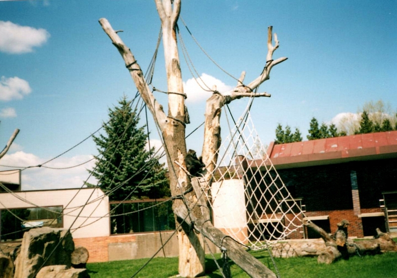 Mit Kindern zum Dvůr Králové nad Labem ZOO