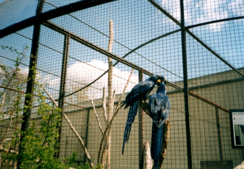 Mit Kindern zum Dvůr Králové nad Labem ZOO