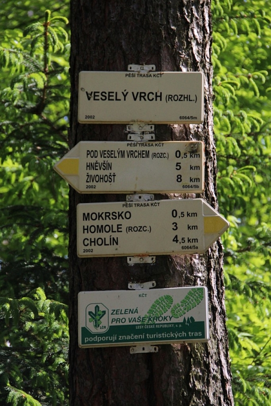 Merry Hill Lookout Tower