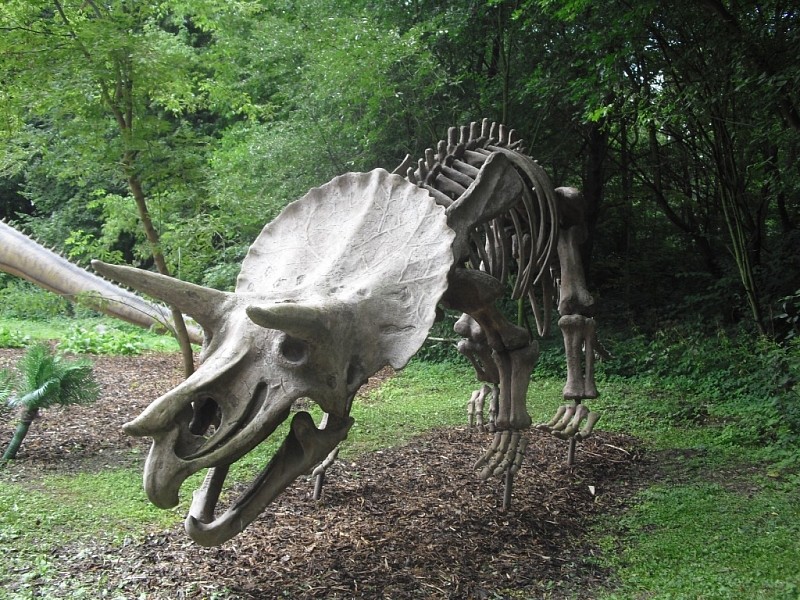 Dinopark Vyškov - v lese s dinosaury