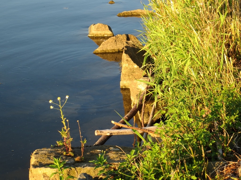 Wasserreservoir Rozkoš